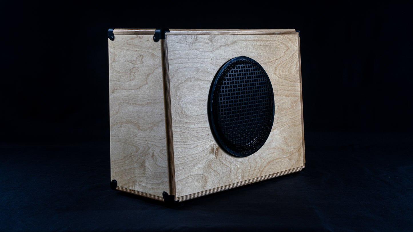 Custom 1x12 Guitar Cabinet